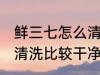 鲜三七怎么清洗比较干净 鲜三七如何清洗比较干净