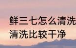 鲜三七怎么清洗比较干净 鲜三七如何清洗比较干净