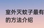 室外灭蚊子最有效的方法 室外灭蚊子的方法介绍
