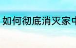 如何彻底消灭家中蚊子 如何消除蚊子