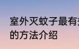 室外灭蚊子最有效的方法 室外灭蚊子的方法介绍