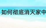 如何彻底消灭家中蚊子 如何消除蚊子