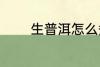 生普洱怎么煮 生普洱如何煮