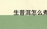 生普洱怎么煮 生普洱如何煮