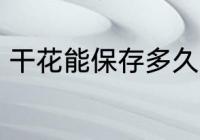 干花能保存多久 干花可以放多长时间