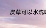 皮草可以水洗吗 皮草能水洗吗