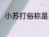 小苏打俗称是什么 小苏打别称介绍