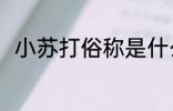 小苏打俗称是什么 小苏打别称介绍