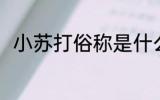 小苏打俗称是什么 小苏打别称介绍