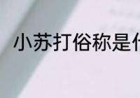小苏打俗称是什么 小苏打别称介绍