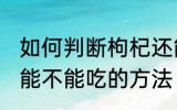 如何判断枸杞还能不能吃 判断枸杞还能不能吃的方法