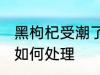 黑枸杞受潮了怎么办 黑枸杞受潮了该如何处理