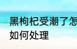 黑枸杞受潮了怎么办 黑枸杞受潮了该如何处理