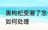黑枸杞受潮了怎么办 黑枸杞受潮了该如何处理