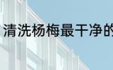 清洗杨梅最干净的方法 杨梅如何清洗