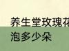 养生堂玫瑰花一次泡几朵 玫瑰花一次泡多少朵