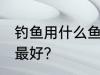 钓鱼用什么鱼料最好 钓鱼用什么鱼饵最好？