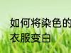如何将染色的衣服变白 怎么将染色的衣服变白