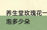 养生堂玫瑰花一次泡几朵 玫瑰花一次泡多少朵