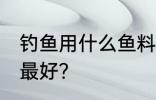 钓鱼用什么鱼料最好 钓鱼用什么鱼饵最好？