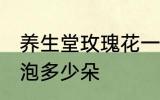 养生堂玫瑰花一次泡几朵 玫瑰花一次泡多少朵