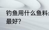 钓鱼用什么鱼料最好 钓鱼用什么鱼饵最好？