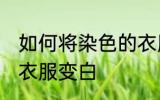 如何将染色的衣服变白 怎么将染色的衣服变白
