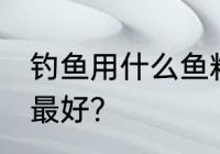 钓鱼用什么鱼料最好 钓鱼用什么鱼饵最好？