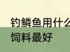 钓鳞鱼用什么饲料最好 钓鳞鱼用哪些饲料最好