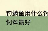 钓鳞鱼用什么饲料最好 钓鳞鱼用哪些饲料最好