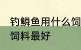 钓鳞鱼用什么饲料最好 钓鳞鱼用哪些饲料最好