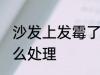 沙发上发霉了怎么办 沙发上发霉了怎么处理