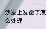 沙发上发霉了怎么办 沙发上发霉了怎么处理