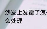 沙发上发霉了怎么办 沙发上发霉了怎么处理