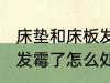 床垫和床板发霉了怎么办 床垫和床板发霉了怎么处理