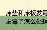 床垫和床板发霉了怎么办 床垫和床板发霉了怎么处理