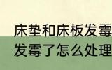 床垫和床板发霉了怎么办 床垫和床板发霉了怎么处理