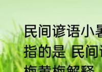 民间谚语小暑一声雷倒转做黄梅黄梅指的是 民间谚语小暑一声雷倒转做黄梅黄梅解释