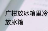 广柑放冰箱里冷藏好吗 广柑可不可以放冰箱