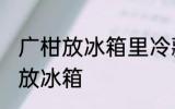 广柑放冰箱里冷藏好吗 广柑可不可以放冰箱