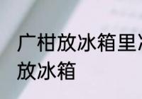 广柑放冰箱里冷藏好吗 广柑可不可以放冰箱