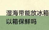 湿海带能放冰箱保鲜吗 湿海带放冰可以箱保鲜吗
