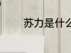 苏力是什么面料 苏力是什么
