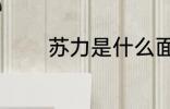 苏力是什么面料 苏力是什么