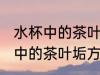 水杯中的茶叶垢用什么清洗 清洗水杯中的茶叶垢方法
