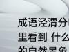 成语泾渭分明中的自然景象可以在哪里看到 什么地方可以看到泾渭分明中的自然景象