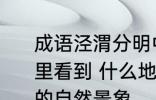 成语泾渭分明中的自然景象可以在哪里看到 什么地方可以看到泾渭分明中的自然景象