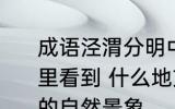 成语泾渭分明中的自然景象可以在哪里看到 什么地方可以看到泾渭分明中的自然景象