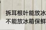 拆耳根叶能放冰箱保鲜吗 拆耳根叶能不能放冰箱保鲜
