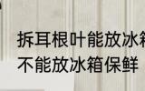 拆耳根叶能放冰箱保鲜吗 拆耳根叶能不能放冰箱保鲜